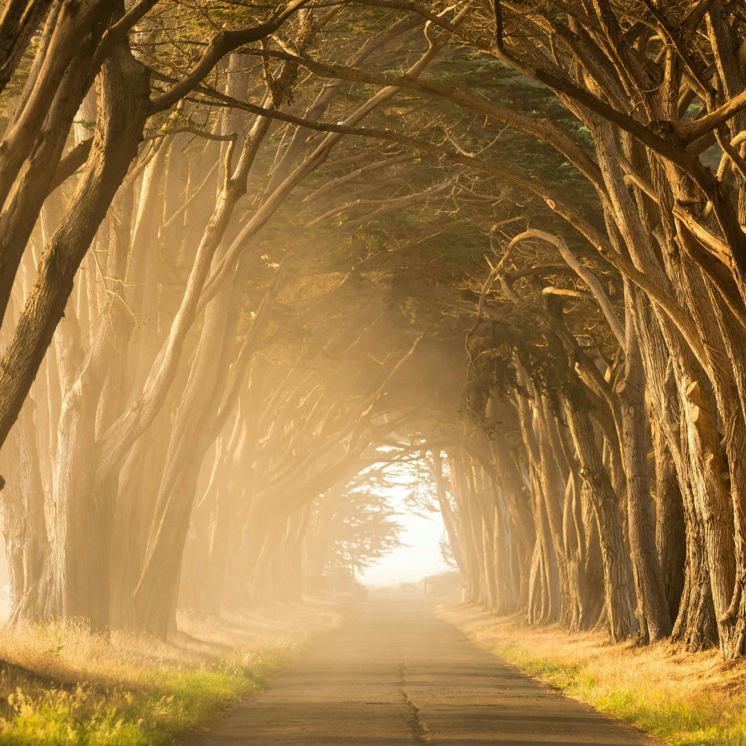 Resilience and Purpose: Finding Direction Through Life Transitions